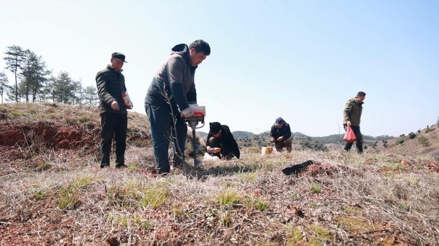 (身边的变化)闽北林下生“金” 绿富双赢有路子