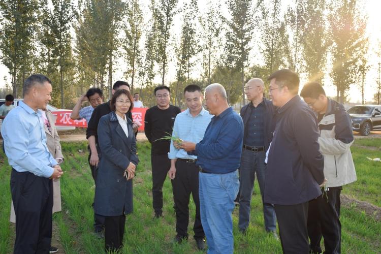 寒地作物栽培技术如何普及?中俄专家“把脉开方”