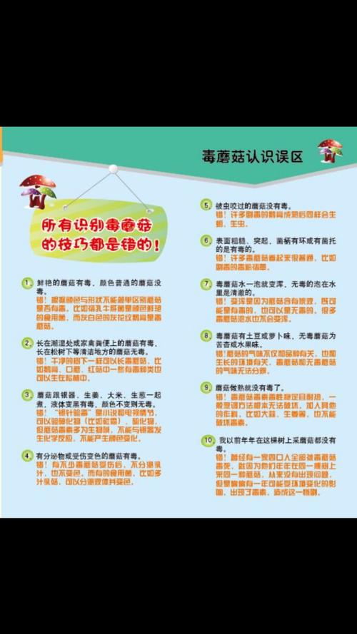 候鸟也会食物中毒?病情就像人吃了毒蘑菇?来这家医院“挂号”→