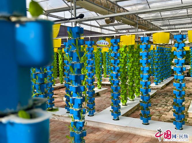 青海化隆:土地种植新模式 助力乡村振兴
