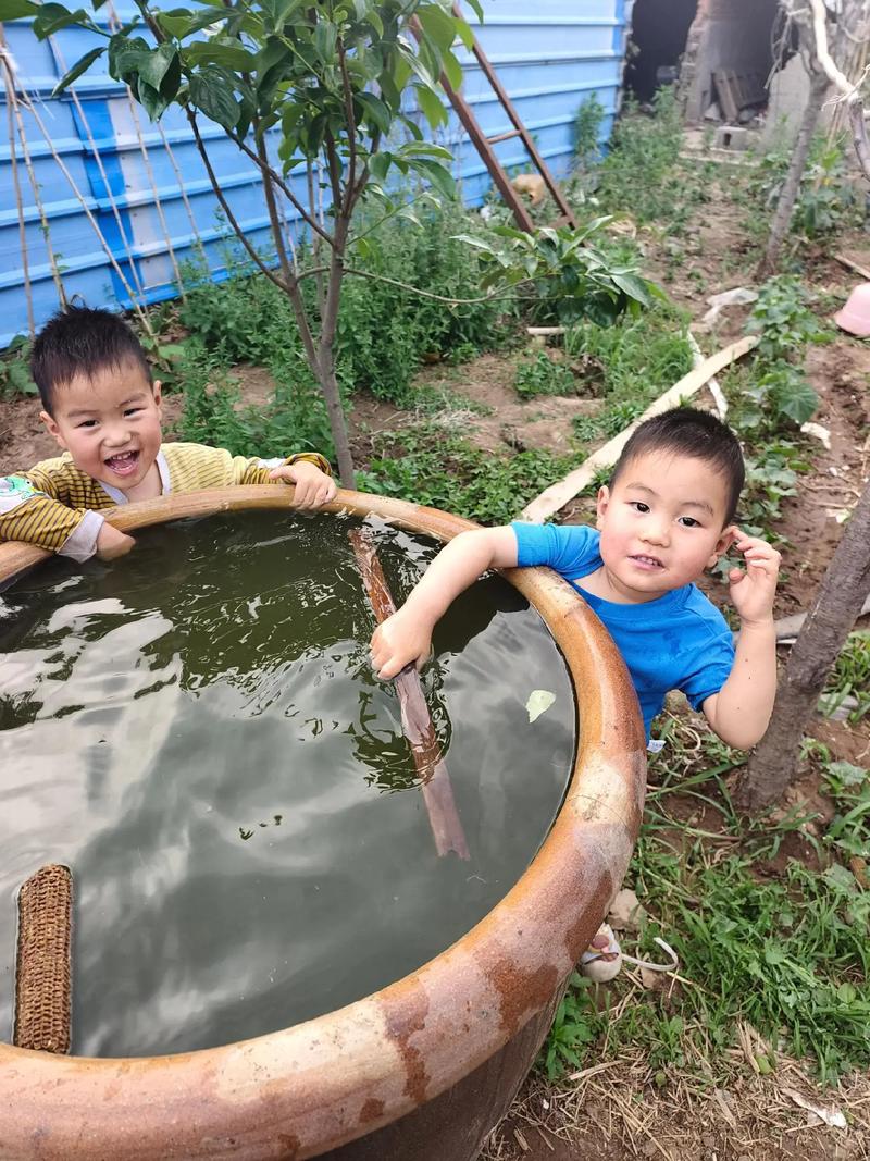 为乡村孩子撑起一片绿荫(快评)