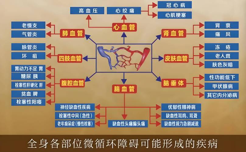 微脉全病程管理模式 打造全人群、全方位、全周期的健康管理新范式