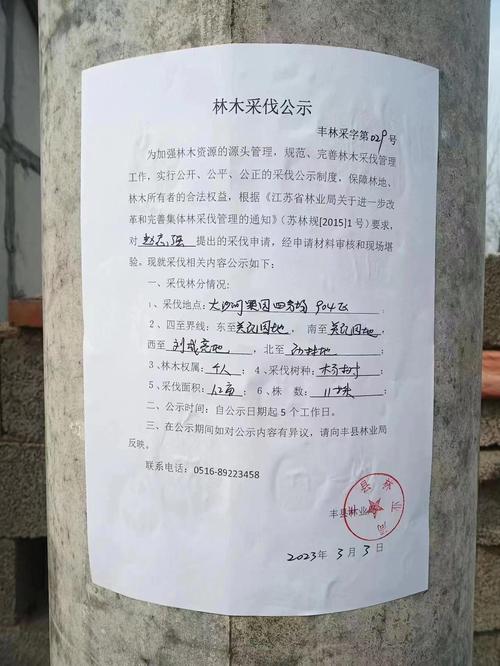自家林木能随意采伐吗?(以案说法)