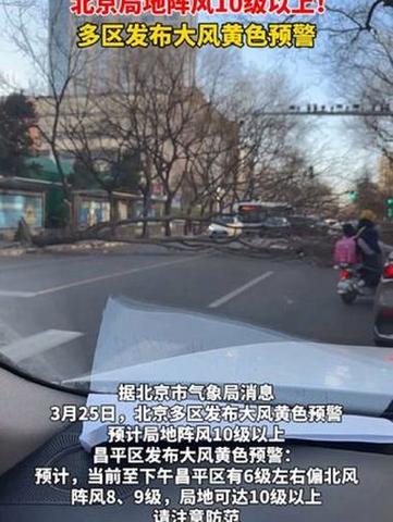 预计局地阵风10级以上!北京多区发布大风黄色预警