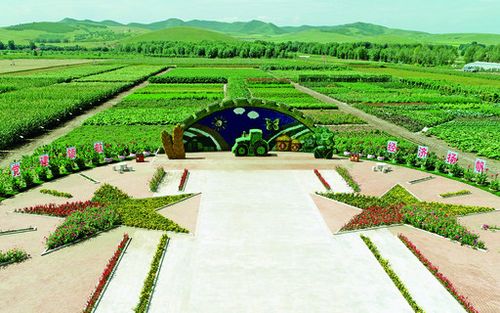 昆明市汤丹镇达朵村:以新型农业“三模式”绘就生态田园绿色画卷
