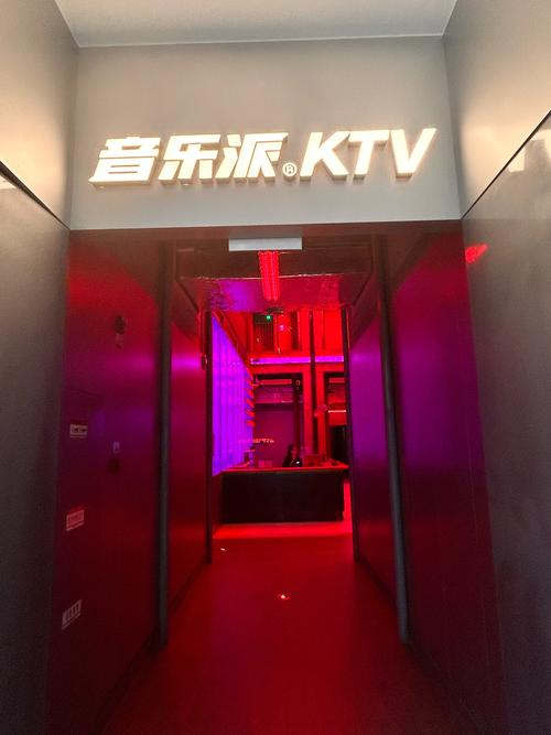 成都一男子盗窃KTV价值5万音响设备 原因是想在家“唱几天”