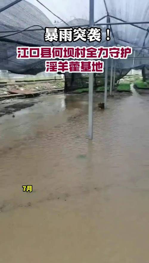 贵州省江口县发布暴雨黄色预警_1