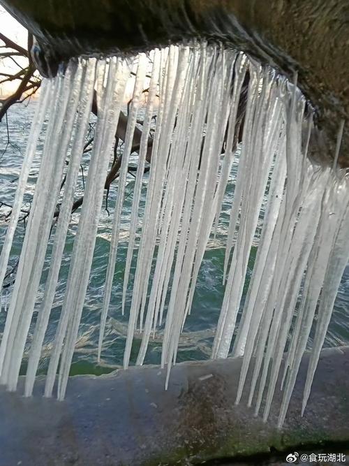 -7.5℃,东湖结冰了!