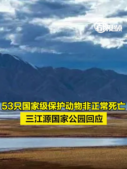 三江源地区发现新物种玉树管鼻蝠