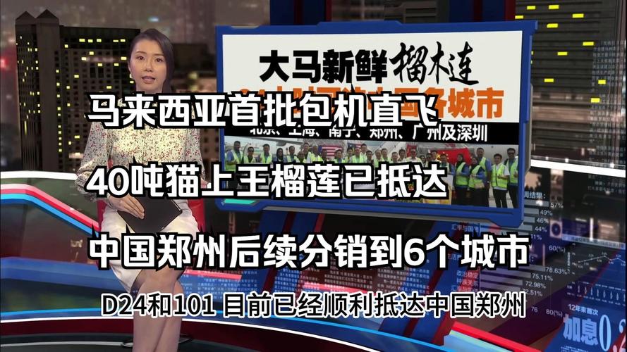 入境游火热!新疆迎来首个免签入境的马来西亚旅游包机