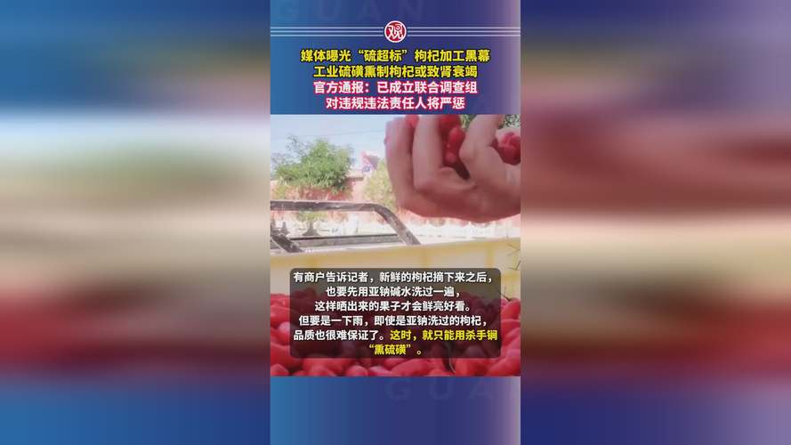 甘肃靖远通报“枸杞生产加工存违规违法问题”：成立联合调查组