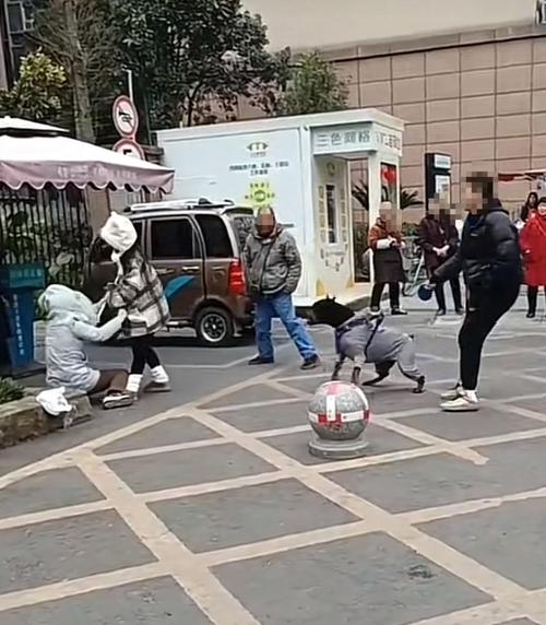 主人没牵住狗绳致路人车祸身亡,狗主人赔偿45万!