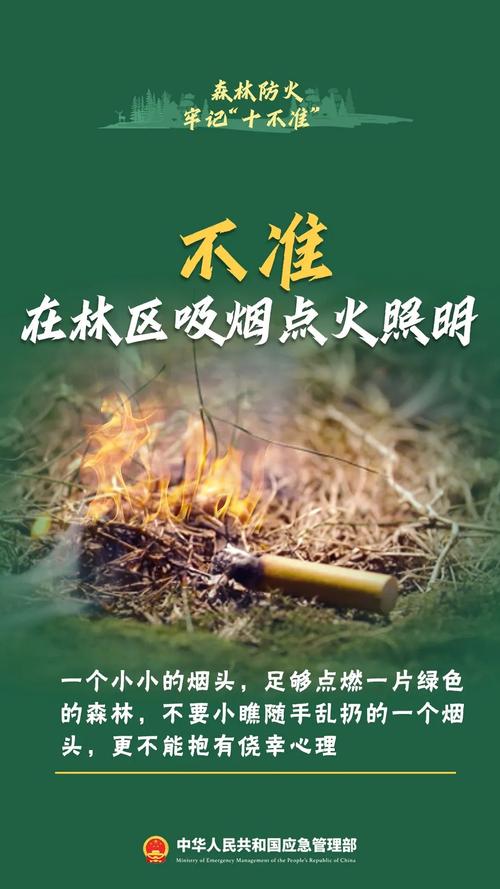 广东省荔湾区发布森林火险黄色预警_2