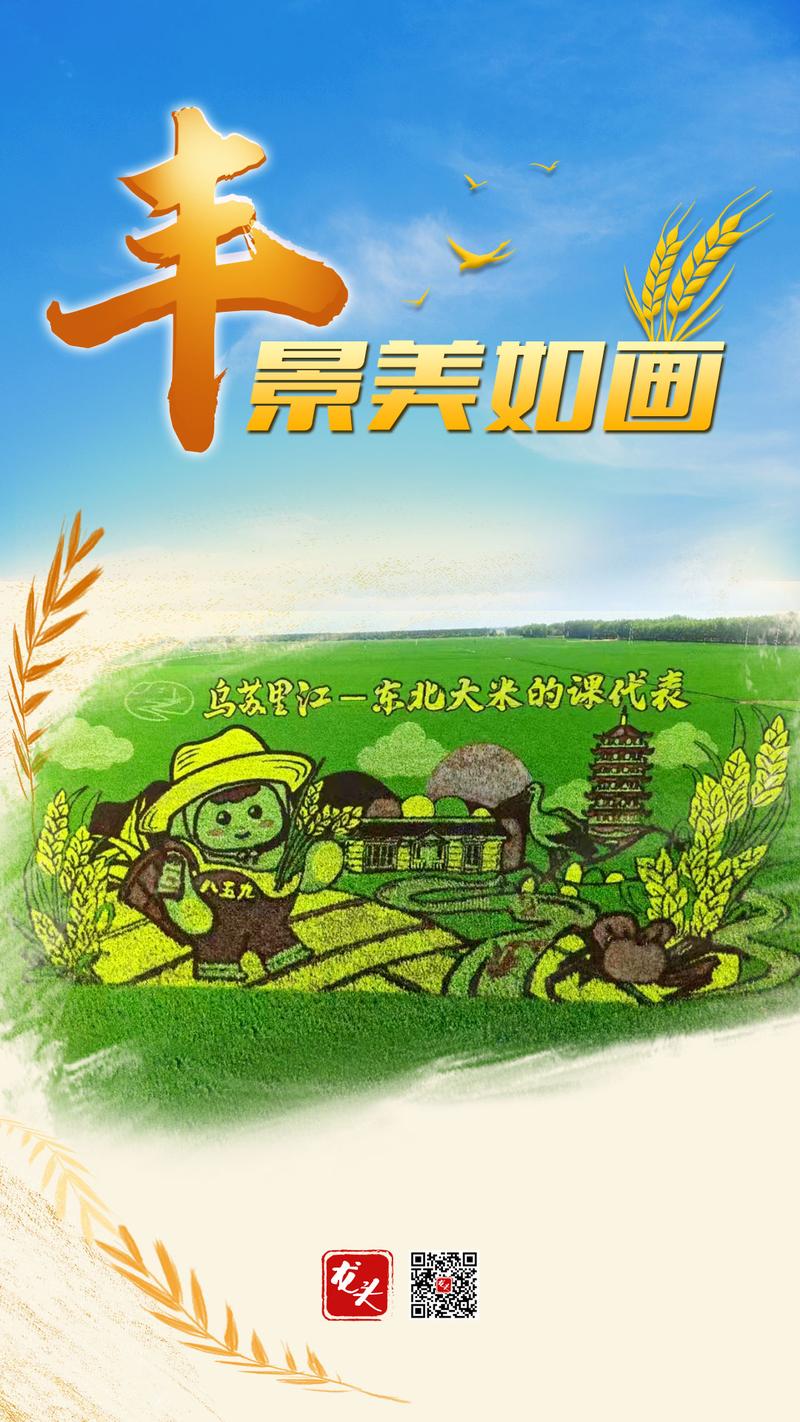 流“金”沃野奏响丰收“欢歌” 好“丰”景有了全新“打开方式”