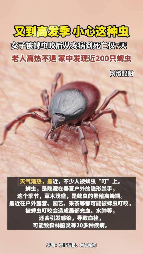 从发病到死亡仅7天!“罪魁祸首”竟是它,高发季警惕
