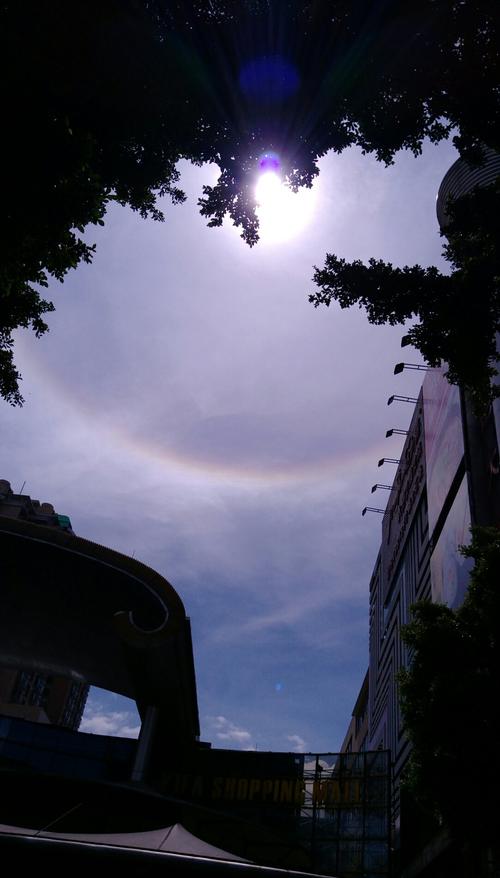 海口48座中石化加油站中已有41座恢复营业 预计12日前全面恢复