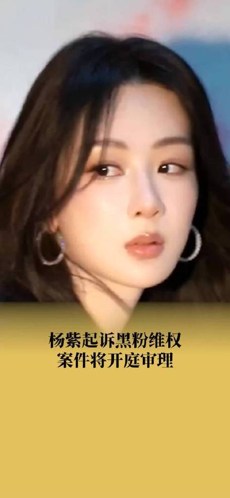 杨紫状告网友高某某网络侵权