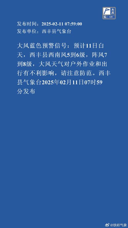 云南省西盟佤族自治县发布大风蓝色预警_2