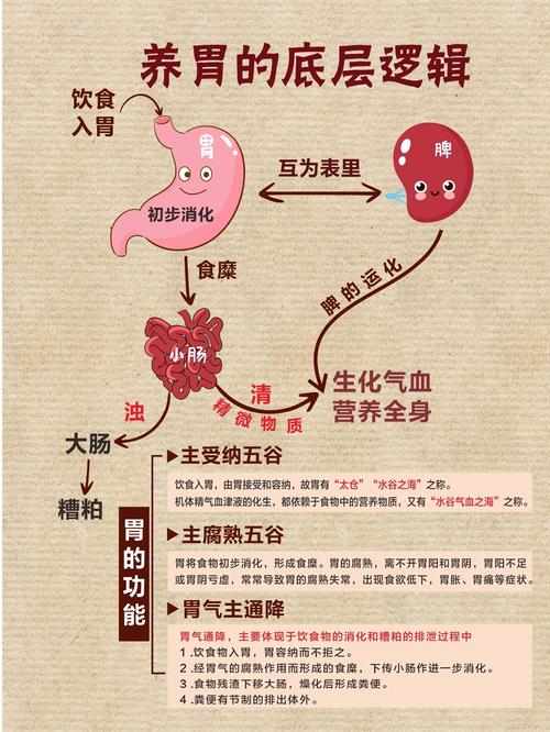 喝粥养胃?奉劝这类胃不好的人,粥最好一口都别碰!