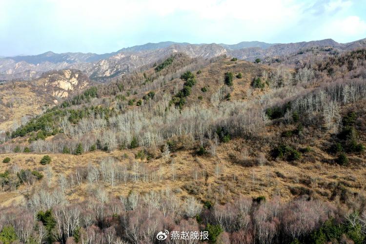 珍贵影像+1!河北驼梁国家级自然保护区再次发现华北豹