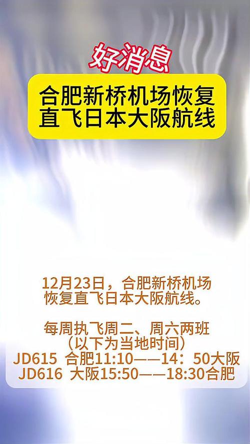 合肥开通至日本大阪客运航线
