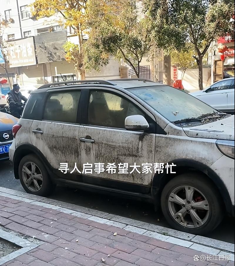 河南商丘一小车停商铺门口四年白车变“黑车”,女店主全网寻人