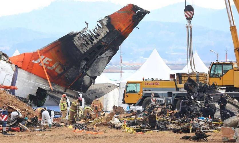 已致85人死亡 韩国客机遭鸟撞瞬间画面公布→
