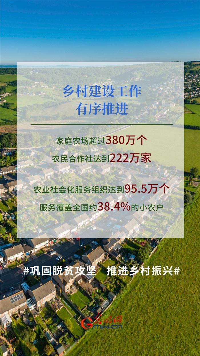 势头良好!一组数字看一季度农业农村经济表现