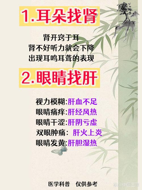 肾不好,心难保!养心护肾的三个黄金法则→