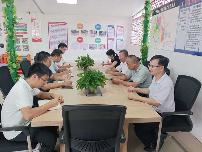 定安次滩村设立候鸟人才工作站专家指导站 共建帮扶助力乡村振兴