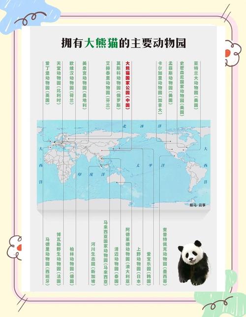 来看大熊猫,又不只看大熊猫(美丽中国·不一样的生态游④)