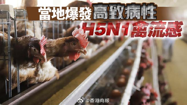 香港暂停进口波兰部分地区禽肉及禽类产品