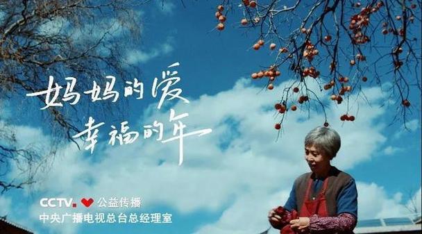 家庭叙事的范本 青年共情的锚点