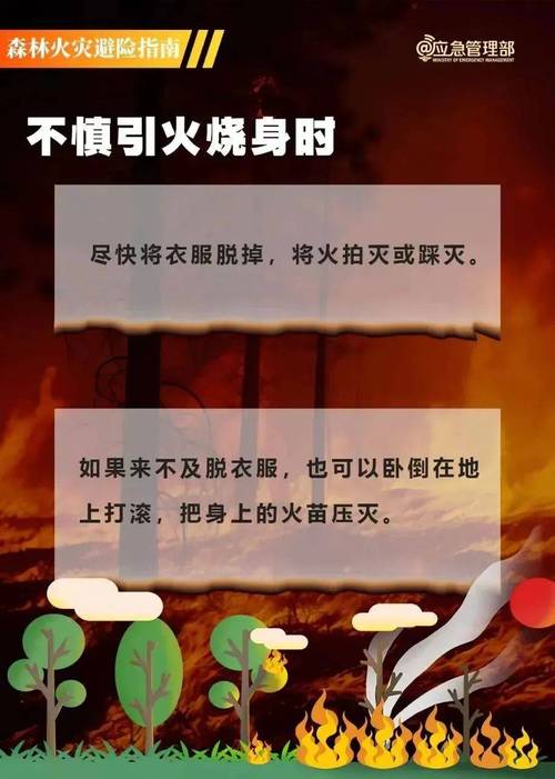 “火苗有一尺多高” 他们砸碎车窗玻璃救出被困司机