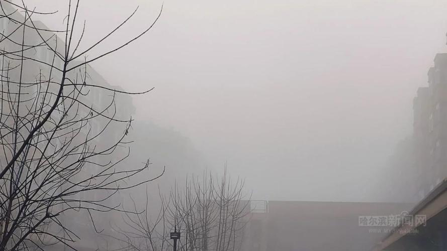 黑龙江省克东县发布大雾黄色预警_1