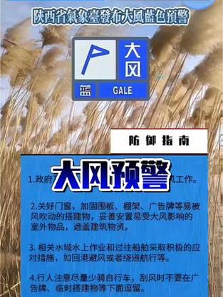 陕西省咸阳市发布大风蓝色预警_6